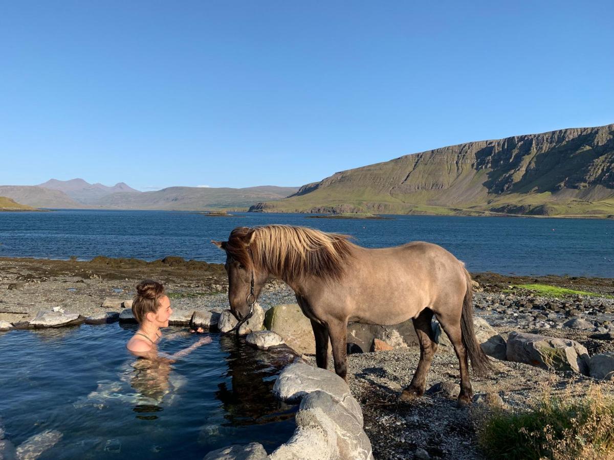 Hotel Hvammsvík Ocean Estate Kjosahreppur Exteriér fotografie